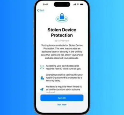 漳平苹果授权维修店分享被盗设备保护功能开启方法 