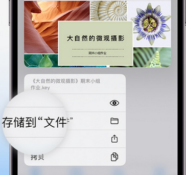 漳平apple维修中心分享iPhone文件应用中存储和找到下载文件