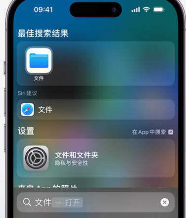 漳平apple维修中心分享iPhone文件应用中存储和找到下载文件 