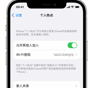 漳平apple服务站点分享iPhone上个人热点丢失了怎么办 