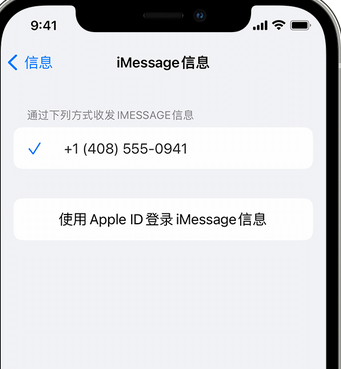 漳平apple维修iPhone上无法正常发送iMessage信息