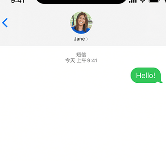 漳平apple维修iPhone上无法正常发送iMessage信息