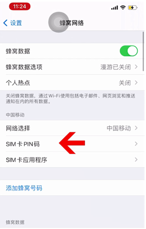 漳平苹果14维修网分享如何给iPhone14的SIM卡设置密码 