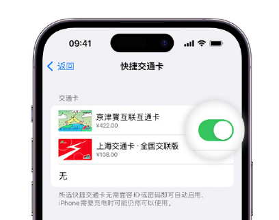 漳平apple维修点分享iPhone上更换Apple Pay快捷交通卡手绘卡面 