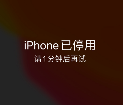 漳平苹果手机维修分享:iPhone 显示“不可用”或“已停用”怎么办？还能保留数据吗？ 