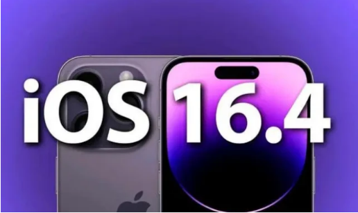 漳平苹果14维修分享：iPhone14可以升级iOS16.4beta2吗？ 