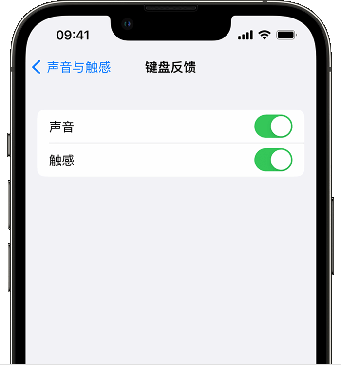 漳平苹果14维修店分享如何在 iPhone 14 机型中使用触感键盘 