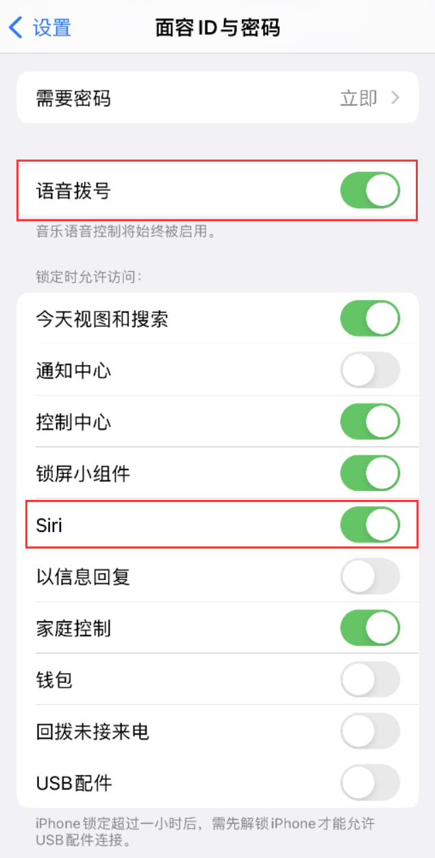 漳平苹果维修网点分享不解锁 iPhone 的情况下通过 Siri 拨打电话的方法 