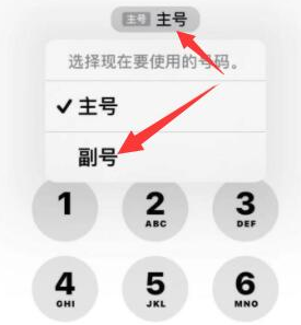 漳平苹果14维修店分享iPhone 14 Pro Max使用副卡打电话的方法 