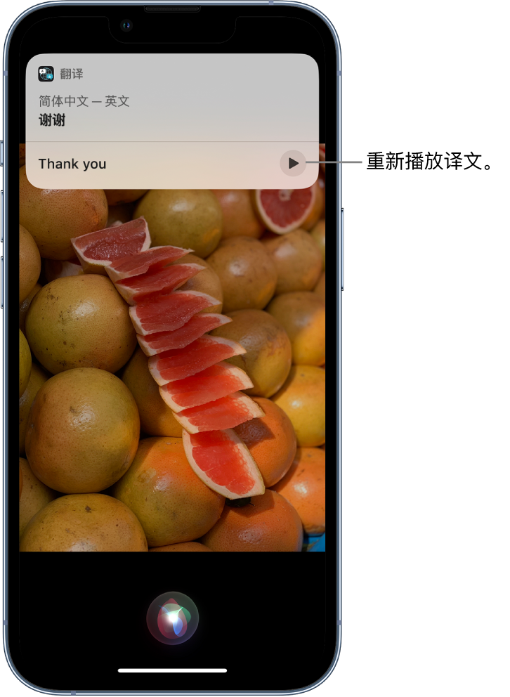 漳平苹果14维修分享 iPhone 14 机型中使用 Siri：了解 Siri 能帮你做什么 