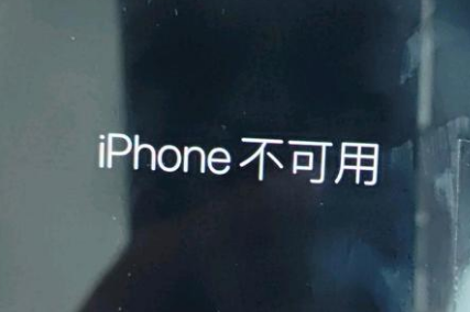 漳平苹果服务网点分享锁屏界面显示“iPhone 不可用”如何解决 