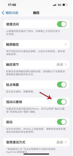 漳平苹果手机维修分享iPhone手机如何设置摇一摇删除文字 