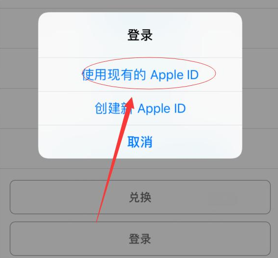 漳平苹果手机维修分享两台iPhone设备可以同时登录一个Apple ID吗 