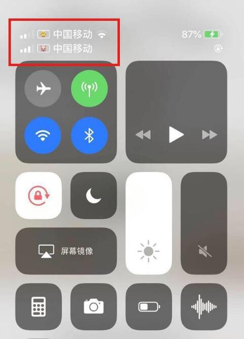 漳平苹果手机维修分享为 iPhone 12 双卡设置标签 