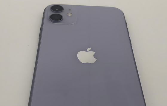 漳平苹果11系统维修分享iPhone11手机系统崩溃无法开机如何解决